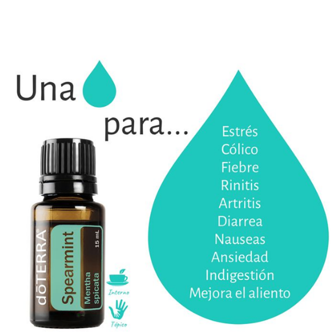 Aceite Esencial Spearmint doterra 15ml Naturísimas 2