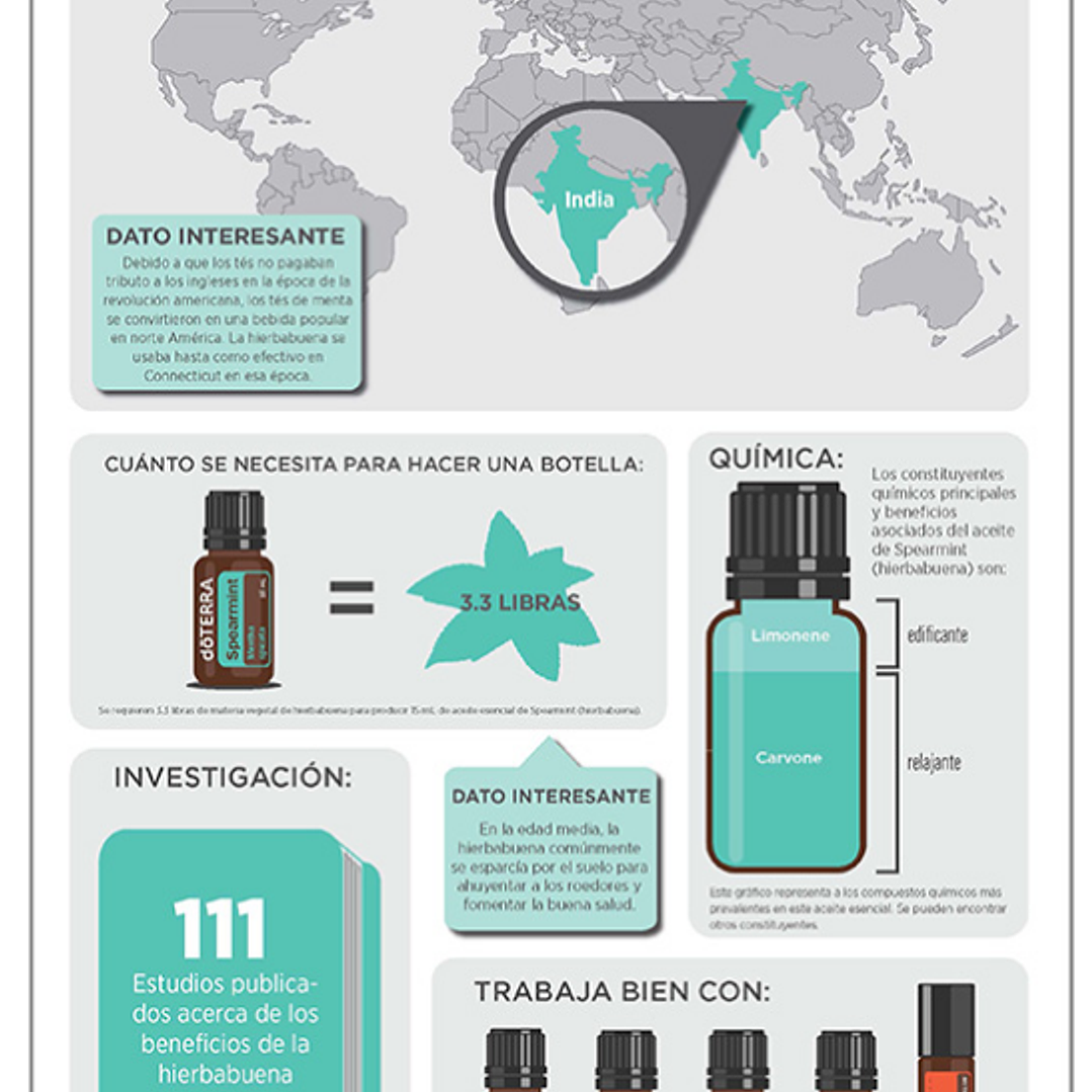 Aceite Esencial Spearmint doterra 15ml Naturísimas 3