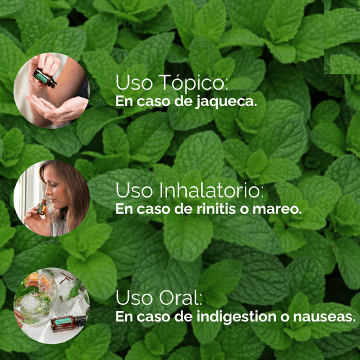 Aceite Esencial Spearmint doterra 15ml Naturísimas 8