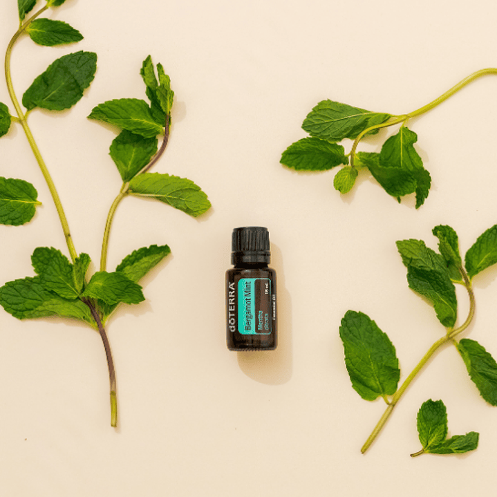 Aceite Esencial Menta Bergamota doterra 15ml Naturísimas 5
