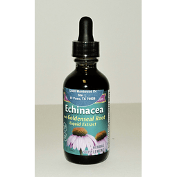 Echinacea 