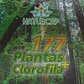 177 PLANTAS + CLOROFILA • 500mL - Miniatura 1