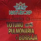 TOTUMO PULMONARIA + BORRAJA | 500 ml - Miniatura 1