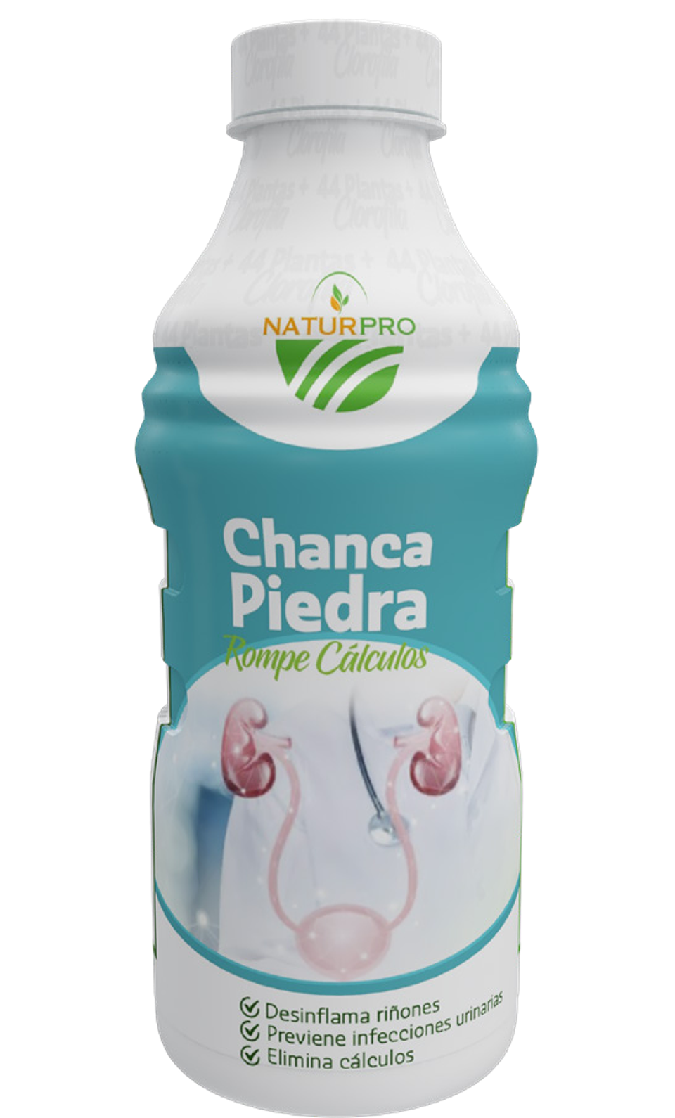 CHANCAPIEDRA 1