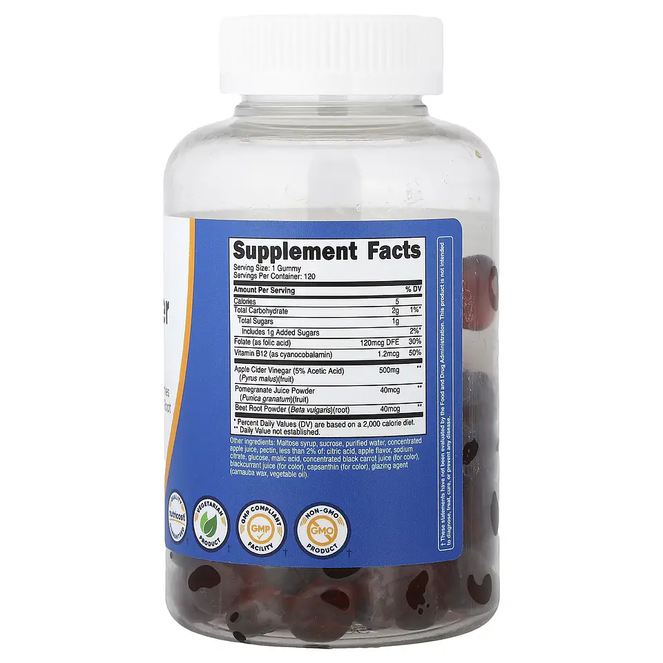 APPLE CIDER VINEGAR 500MG/120 APPLE GUM 2