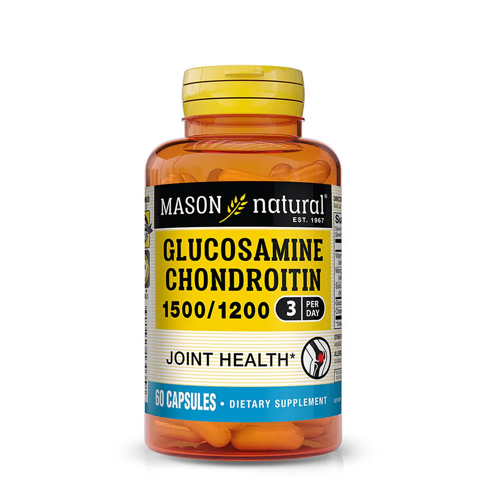 GLUCOSAMINE CHONDROITIN / 60 CAP 1