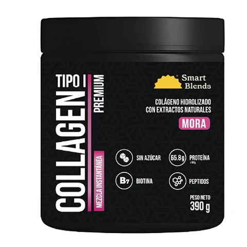 COLAGENO  HIDROLIZADO CON EXTRACTOS NATURALES MORA 390g