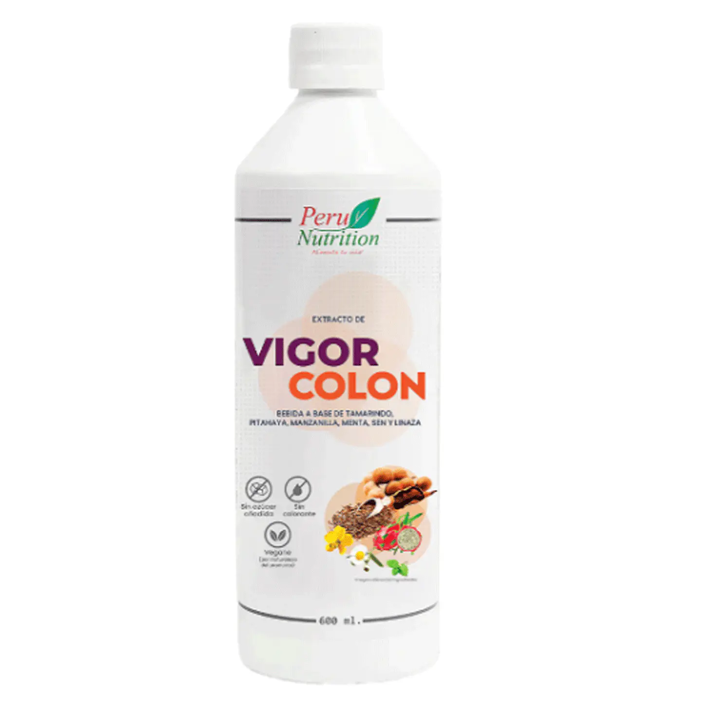 VIGOR COLON BEBIDA A BASE DE TAMARINDO 600ML 1