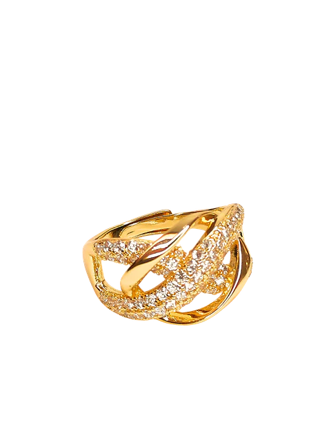 Anillo hebilla 