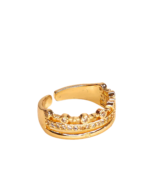 Anillo trep 