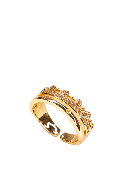 Anillo trep 