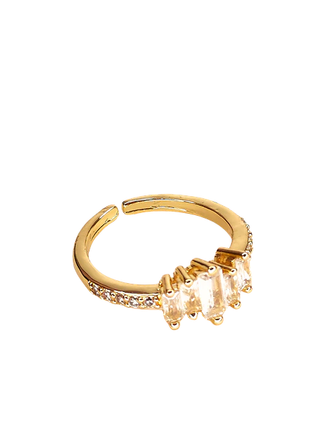 Anillo rectan 