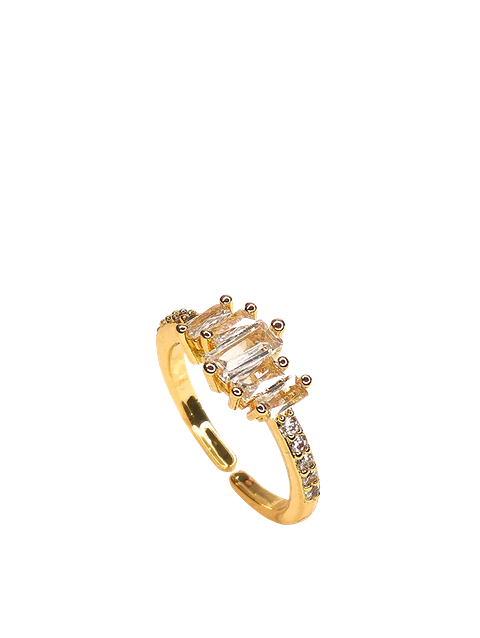 Anillo rectan 