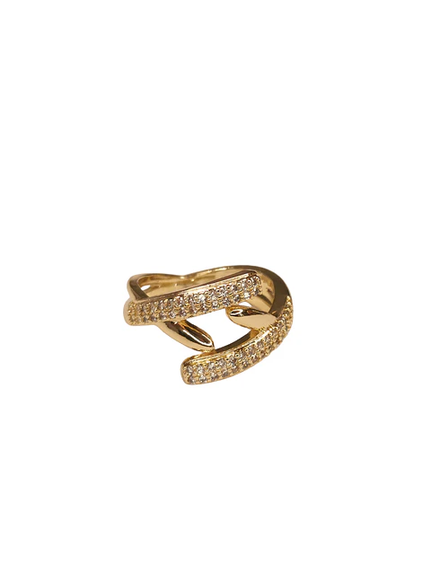 Anillo rama