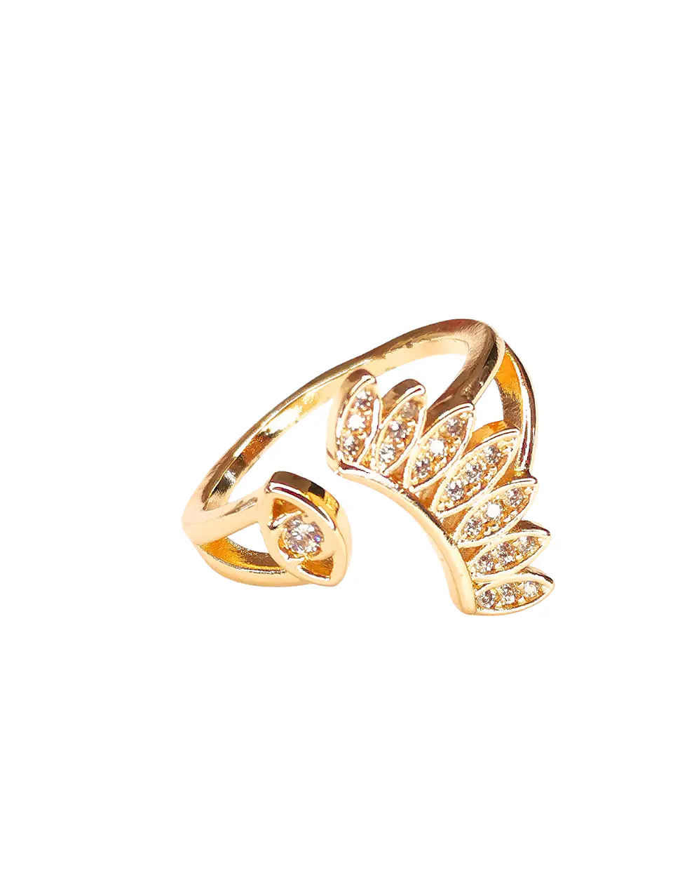 Anillo ojo  1