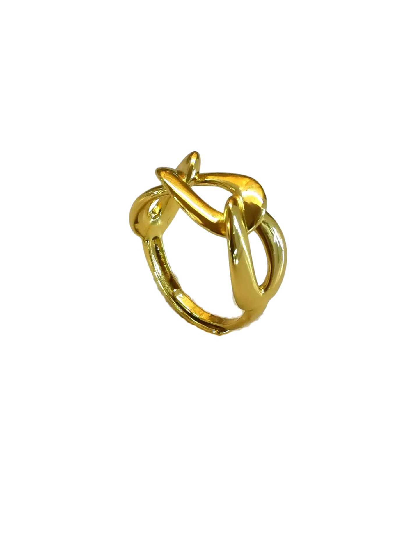 Anillo Tarbes  2