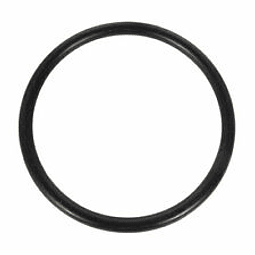 O-ring