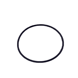 O-ring