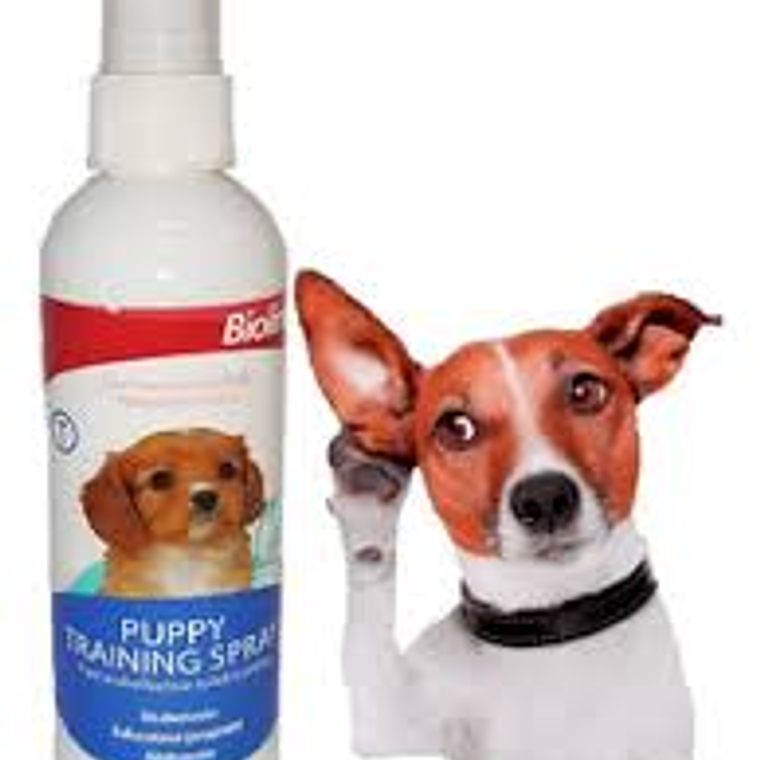 Educador sanitario Spray 2