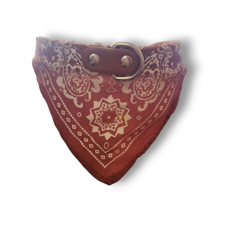 Collar Perros Grandes Cowboy Talla L 1