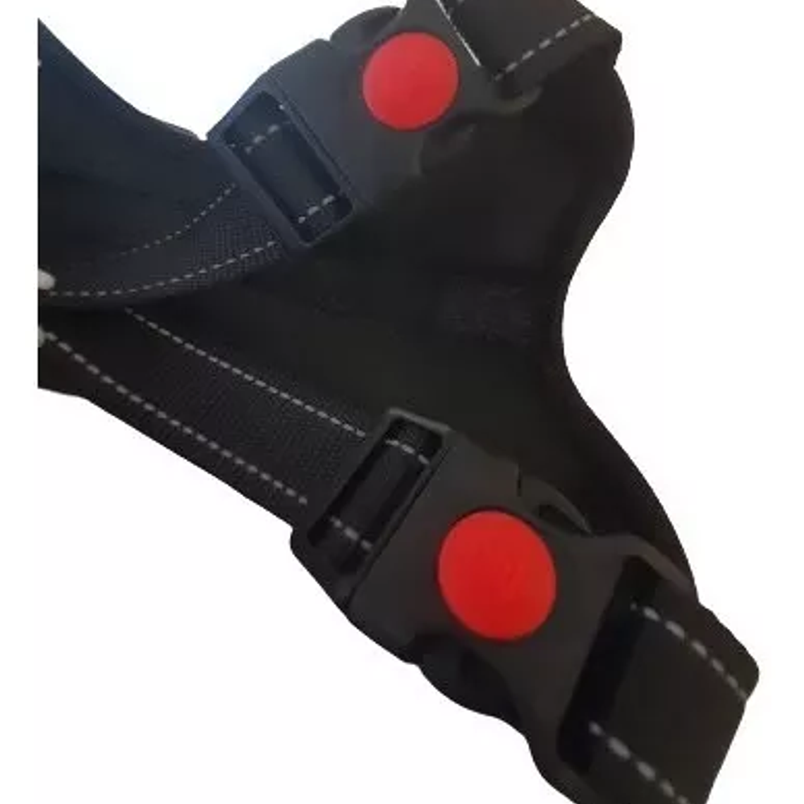 Arnes/pechera Talla L Ajustable 3