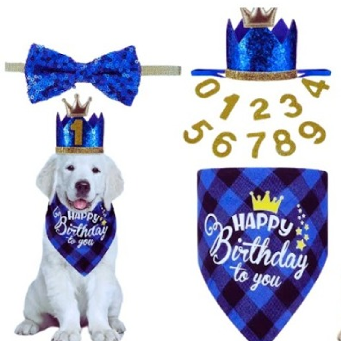 Kit de Cumpleaños para mascotas 1