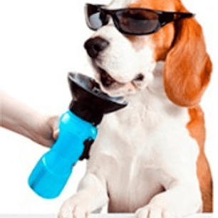 Botella de Agua de Paseo