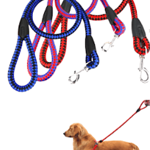 Correa de paseo Firme