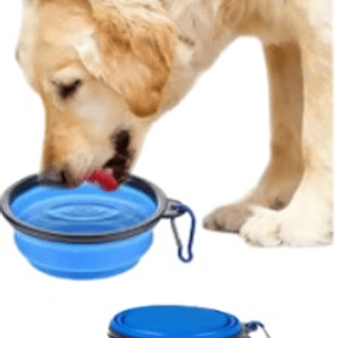 Platos plegables paseo o viajes