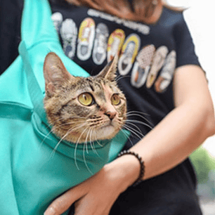Bolsa De Transporte Portable Para Gatos