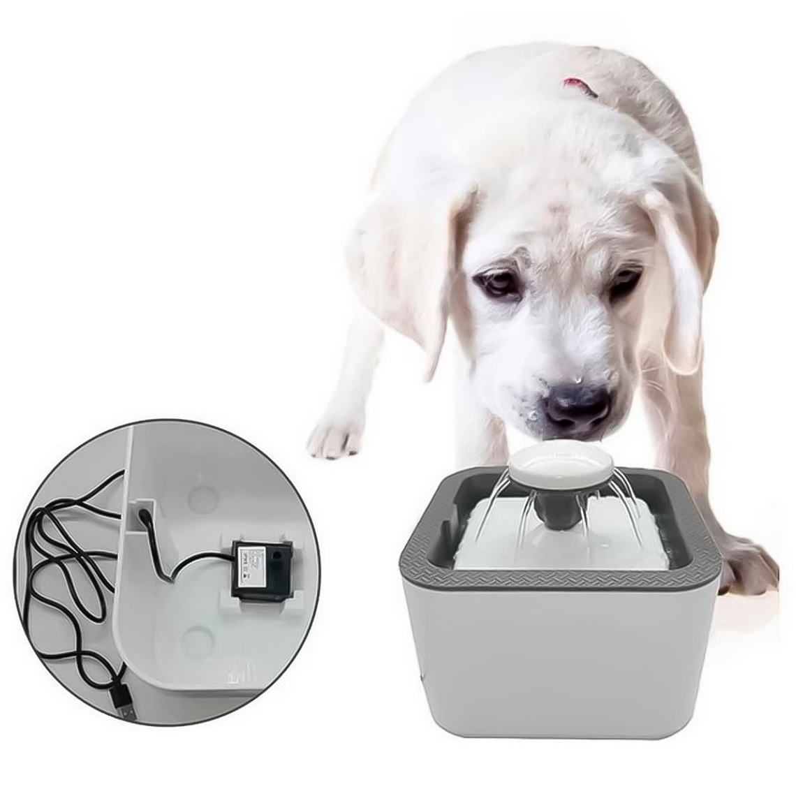 Fuente De Agua Automatica 2.5 L 3