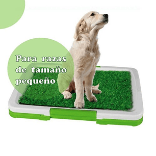 Bano Ecologico Y Portatil Para Perros
