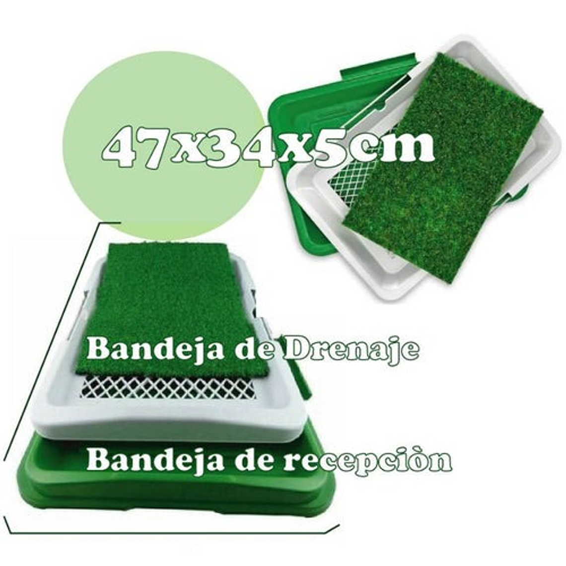 Bano Ecologico Y Portatil Para Perros 3