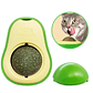 Palta Hierba Gatera Cat Nip  - Miniatura 1