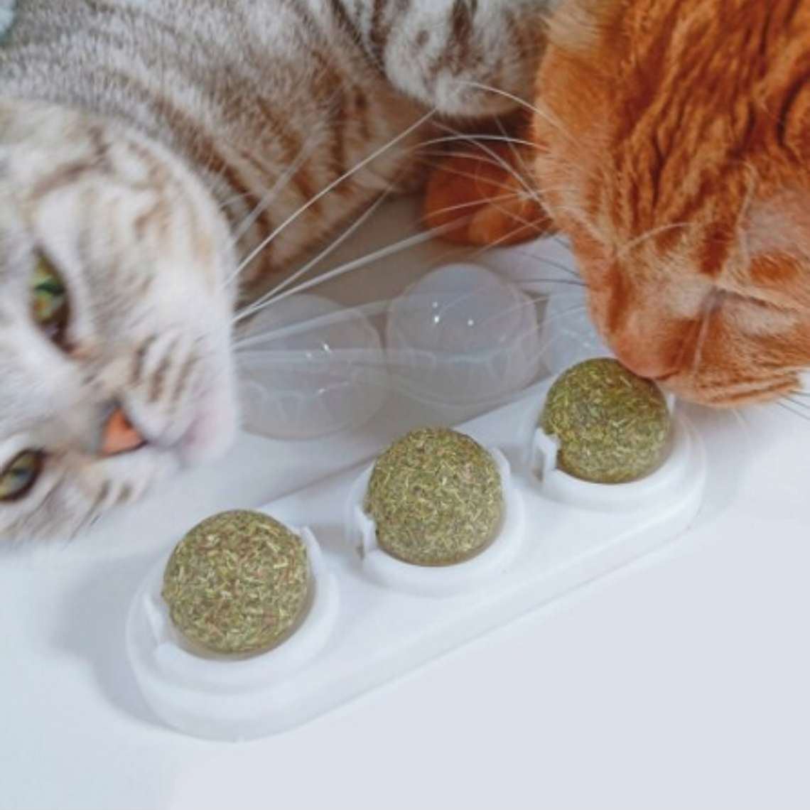 Catnip Para Gatos  2