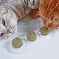 Catnip Para Gatos  - Miniatura 2