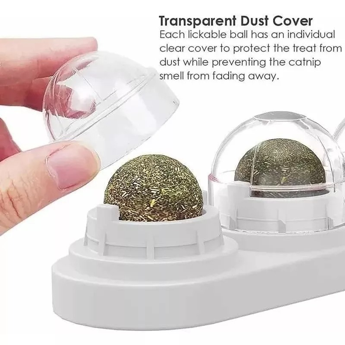 Catnip Para Gatos  4