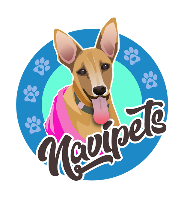 Cómo nació Navipets: una historia de amor, telas y patas