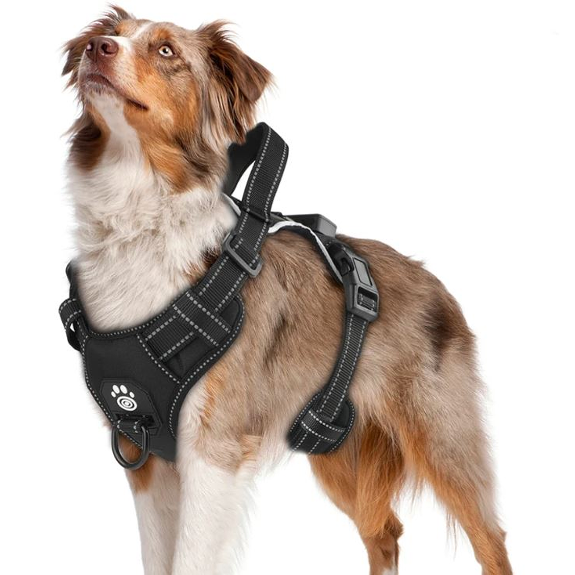 Arnes Led Ergonomico 2