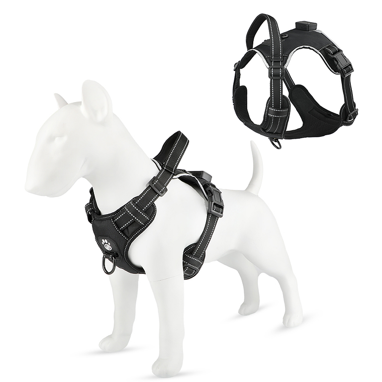 Arnes Led Ergonomico 4