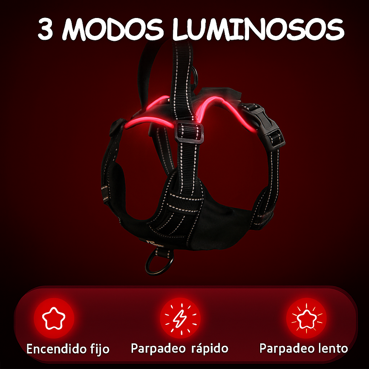 Arnes Led Ergonomico 5