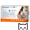 Revolution Plus - Gatos