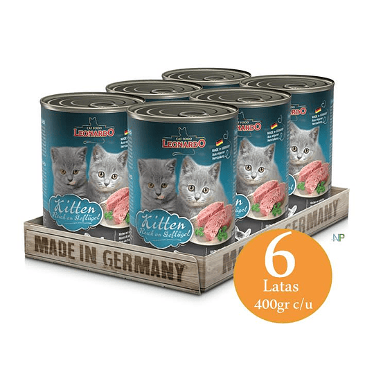 Kitten Quality Selection 6-pack