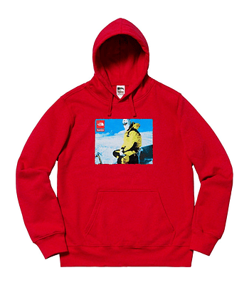 Hoodie Photo Box - Supreme / The North Face [VNDS]