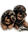 Stickers Grandes - Supreme