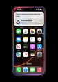 iPhone 16 Pro Max 512GB (CPO Reacondicionado) - Miniatura 6