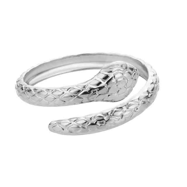 Stainless Steel Snake Rings 16