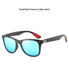 polarized sunglasses 6