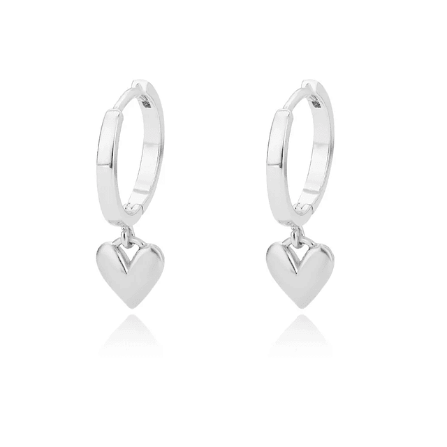 Stainless Steel Heart Earrings  22