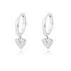 Stainless Steel Heart Earrings  22